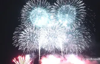 2015年 神明の花火 テーマファイヤー「飛躍 市川三郷町誕生10周年 新たな10年への幕開け～祈・鎮魂と復興」