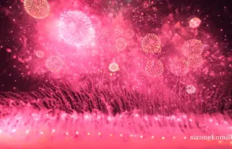 2015年 神明の花火大会【夜空をカラフルに染め上げる圧巻のグランドフィナーレ】