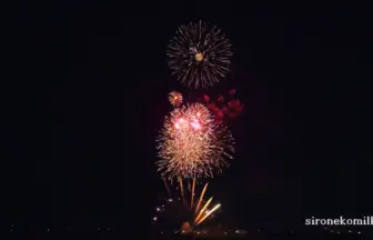 2015年 神明の花火大会 競技花火「神明の夜～ゆったりと～」