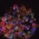 4K UHD 2016年 片貝まつり奉納大煙火 二尺玉 星屑スターマイン