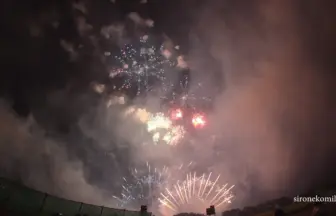 4K UHD 2016年 赤川花火大会 全国デザイン花火競技会 ㈲太陽堂田村煙火店「希望の花」