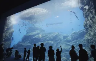 仙台うみの杜水族館 2015年7月に仙台港に新テーマパークオープン！