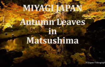 4K UHD 2016年 円通院庭園 日本三景松島 幻想的な紅葉ライトアップ