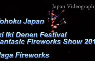 2017年 活き生き田園フェスティバル ファンタジック花火ショー