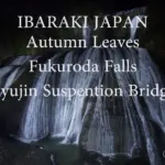 茨城奥久慈の紅葉 袋田の滝ライトアップ