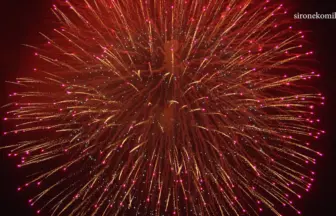 4K UHD 2016年 山内いものこまつりin 鶴ヶ池 水中花火ショー