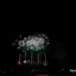 2015年 大曲の花火 全国花火競技大会 夜花火の部 秋田魁新報社・NTTグループ提供 スペシャルスターマイン