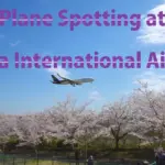 成田国際空港 飛行機の離着陸【桜の花咲くさくらの山公園】
