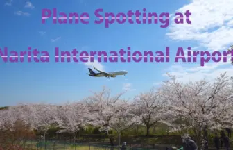 成田国際空港 飛行機の離着陸【桜の花咲くさくらの山公園】