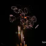 2011年 土浦全国花火競技大会 スターマインの部 芳賀火工 Smile for Japan