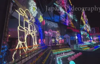 4K UHD 東京ドイツ村 Winter Illumination 2016-2017「大冒険～★Doki★Doki★Smile～」