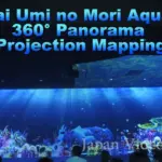 仙台うみの杜水族館 【 360°大パノラマ 3Dプロジェクションマッピング】