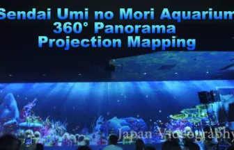 仙台うみの杜水族館 【 360°大パノラマ 3Dプロジェクションマッピング】