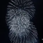 郡山市の夜空を彩る 2017年 うねめの里冬花火