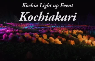 4K UHD 2017年 みちのく杜の湖畔公園 コキアライトアップ【コキアカリ】