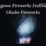 4K UHD 2017年 赤川花火大会 全国デザイン花火競技会 大久保煙火製造所「青の物語」