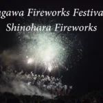 4K UHD 2017年 赤川花火大会 全国デザイン花火競技会 ㈲篠原煙火店「瞬(またたき)」