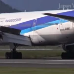 大阪国際空港 (伊丹空港) 大迫力の飛行機離着陸 伊丹スカイパーク・スカイランドHARADA