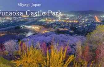 4K UHD 日本桜名所百選 船岡城址公園の桜と美しい夜景