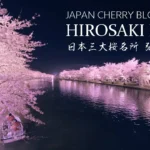 8K UHD 弘前公園 夜桜も感動！日本一美しい絶景桜名所 弘前城