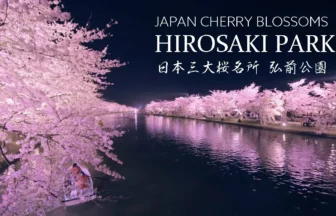 8K UHD 弘前公園 夜桜も感動！日本一美しい絶景桜名所 弘前城