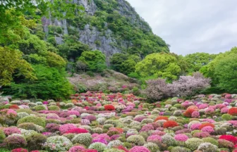 8K UHD 佐賀武雄温泉 御船山楽園の美しい風景 花まつり ツツジ編