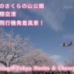 成田国際空港 桜と飛行機の離着陸 さくらの山公園の風景