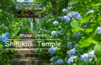 4K UHD 宮城花の名所 仙台あじさい寺 慈雲山 資福禅寺(資福寺)