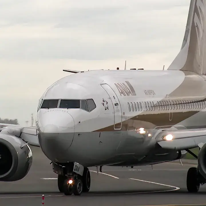 ANA 全日本空輸のボーイング737-700 特別塗装機 ゴールドジェットが